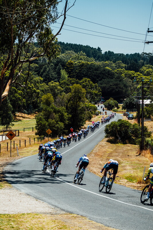 cyclingimages-TDU-2026-Mens Stage 5-826034.jpg