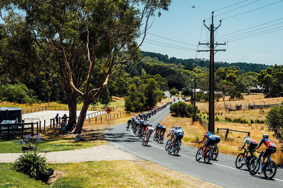 cyclingimages-TDU-2026-Mens Stage 5-836118.jpg