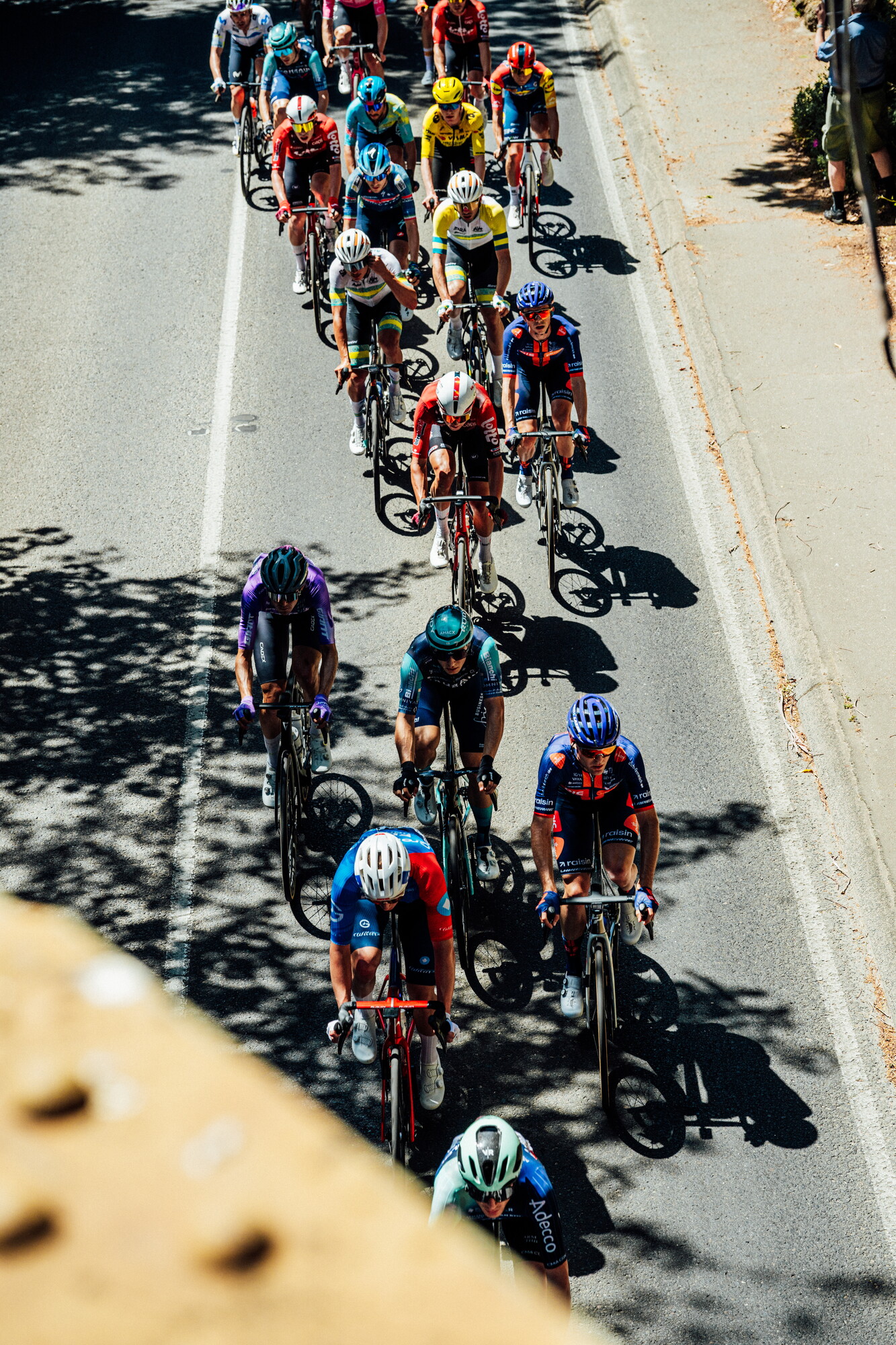 cyclingimages-TDU-2026-Mens Stage 5-835667.jpg