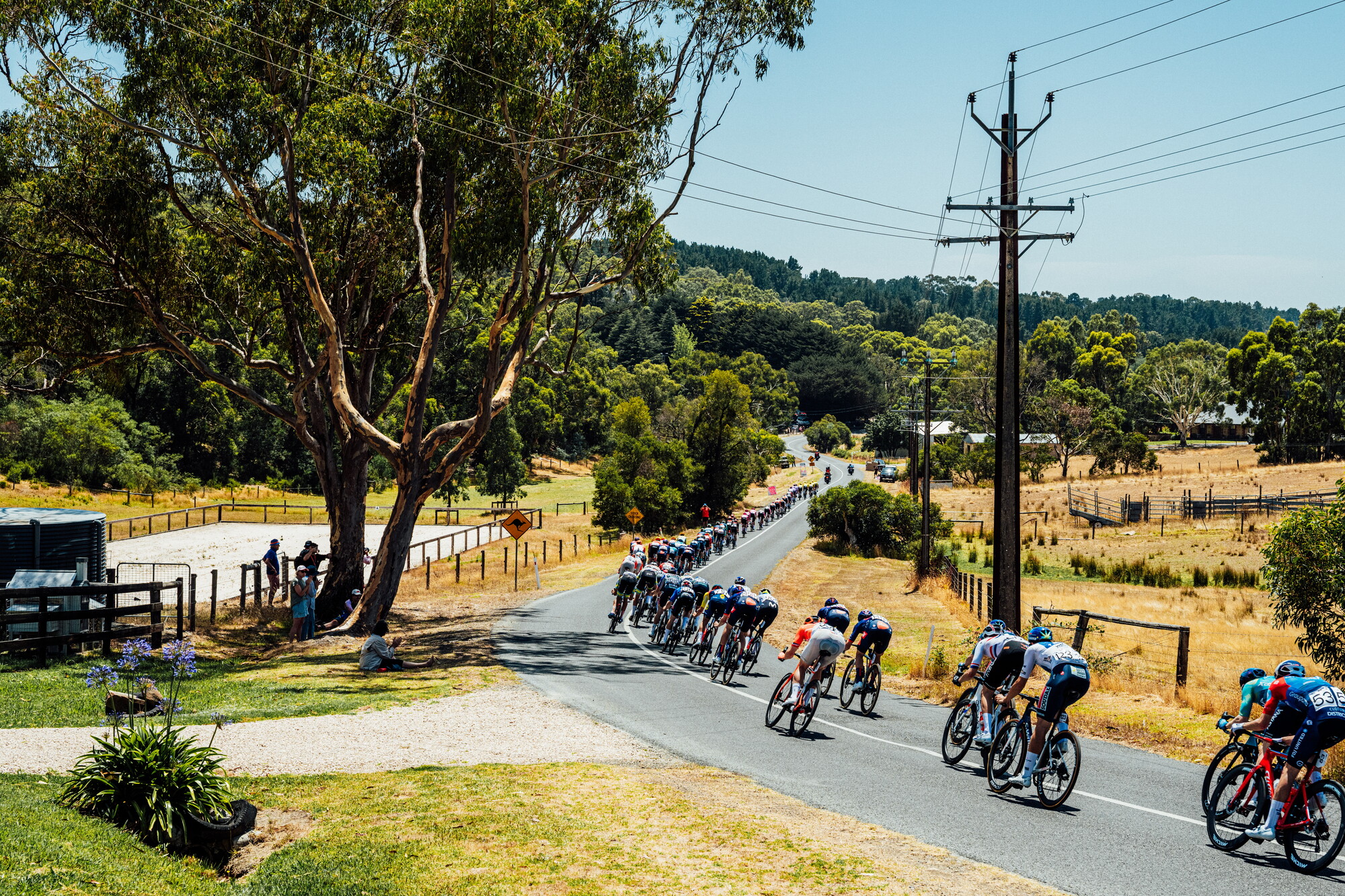 cyclingimages-TDU-2026-Mens Stage 5-836113.jpg