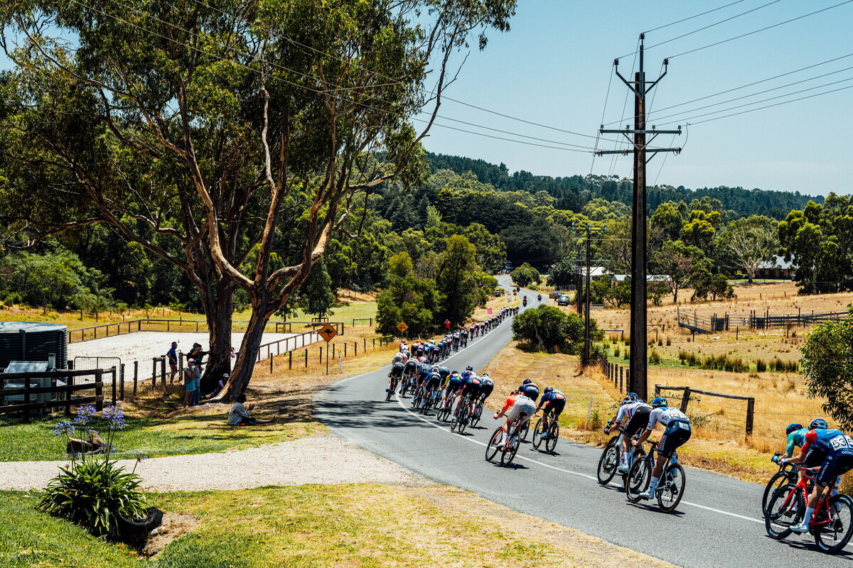 cyclingimages-TDU-2026-Mens Stage 5-836113.jpg