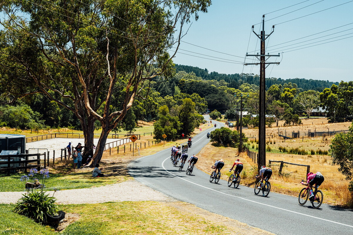 cyclingimages-TDU-2026-Mens Stage 5-836011.jpg
