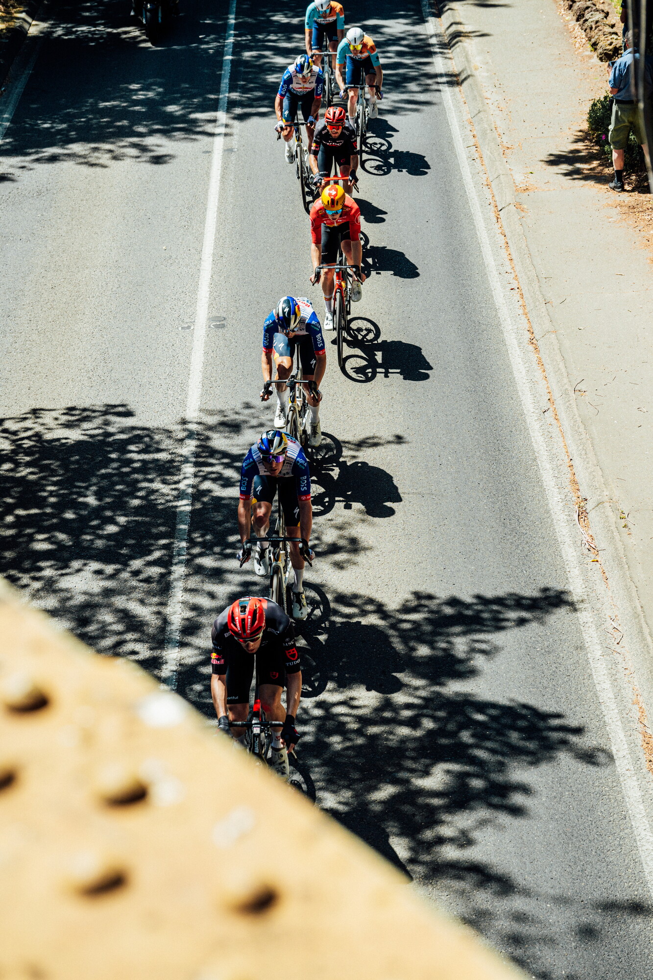 cyclingimages-TDU-2026-Mens Stage 5-835799.jpg