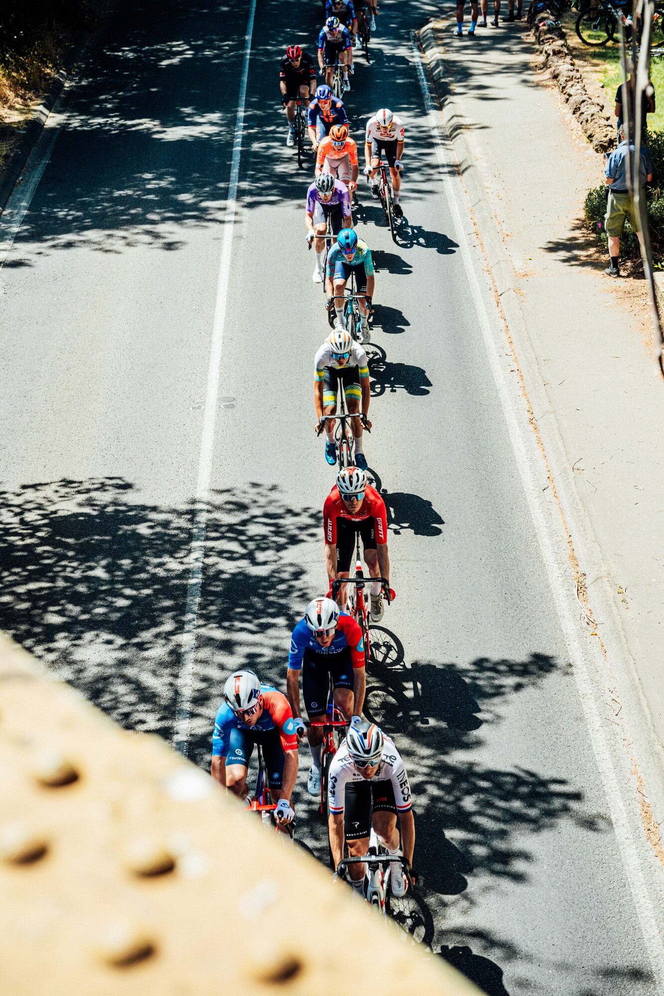 cyclingimages-TDU-2026-Mens Stage 5-835784.jpg