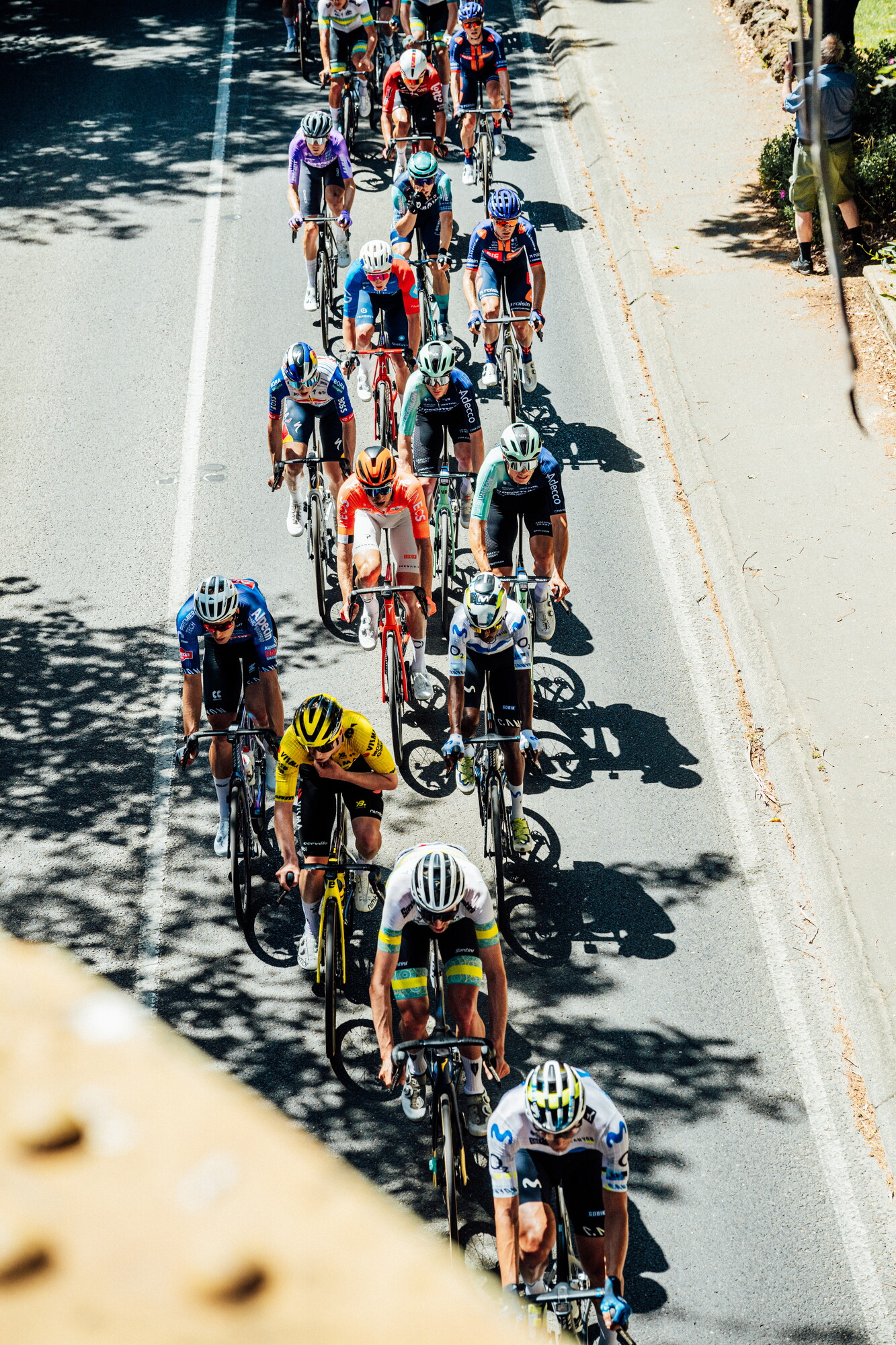 cyclingimages-TDU-2026-Mens Stage 5-835654.jpg
