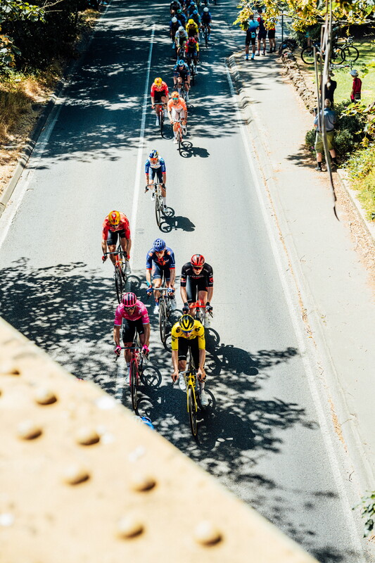 cyclingimages-TDU-2026-Mens Stage 5-835696.jpg