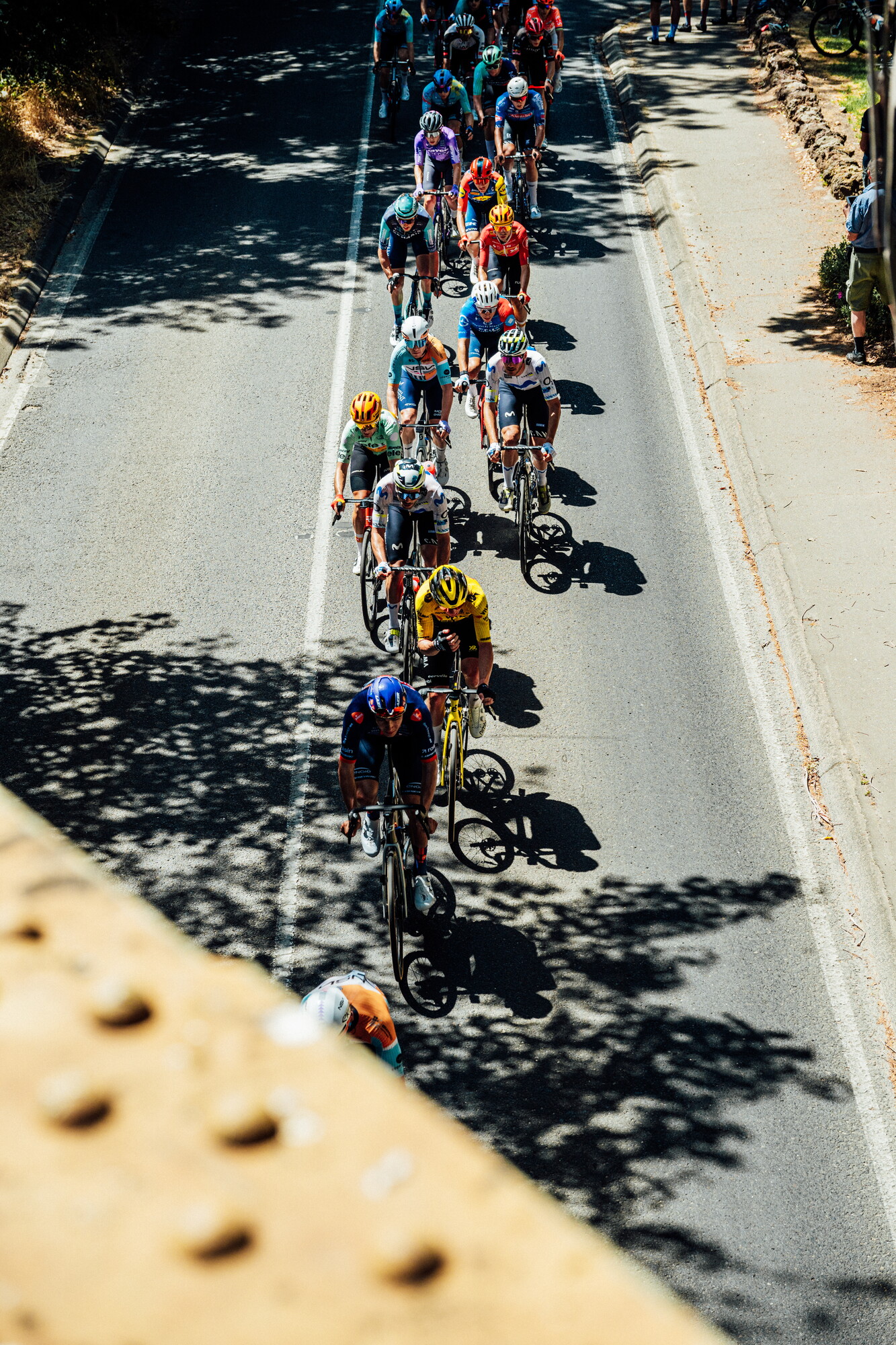 cyclingimages-TDU-2026-Mens Stage 5-835750.jpg
