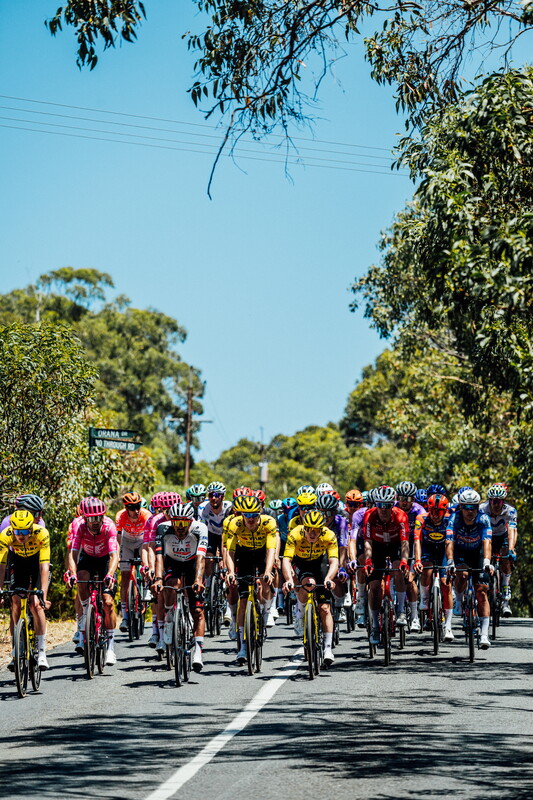 cyclingimages-TDU-2026-Mens Stage 5-826364.jpg