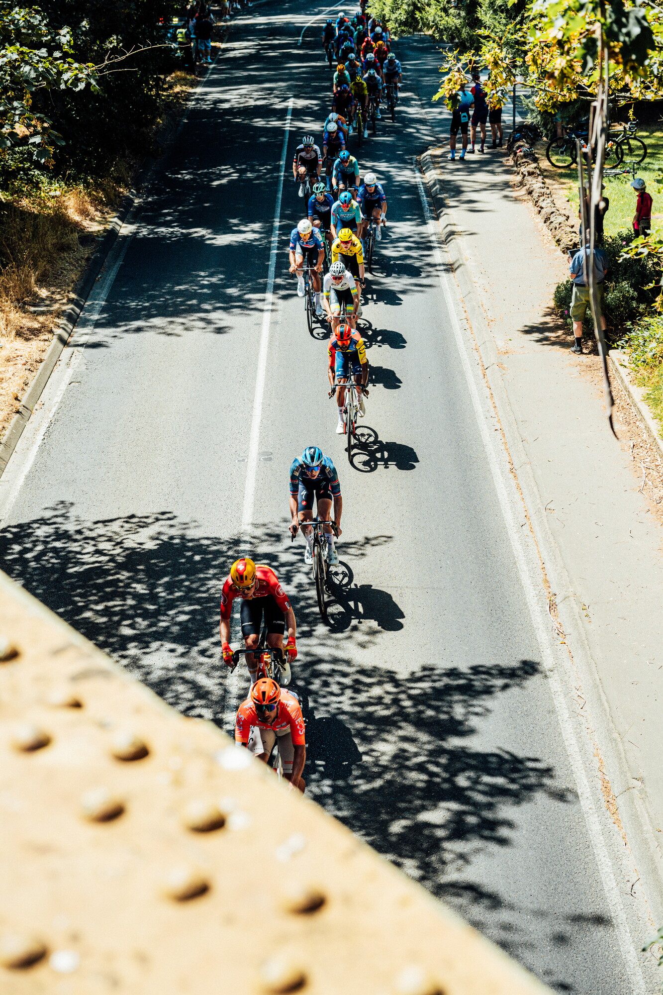 cyclingimages-TDU-2026-Mens Stage 5-835710.jpg