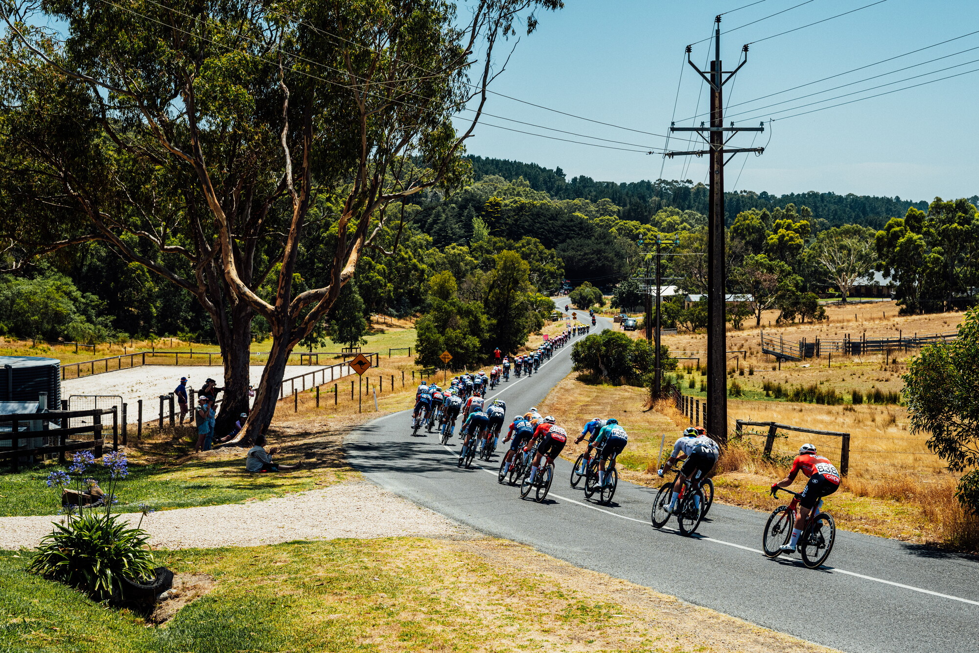 cyclingimages-TDU-2026-Mens Stage 5-836150.jpg
