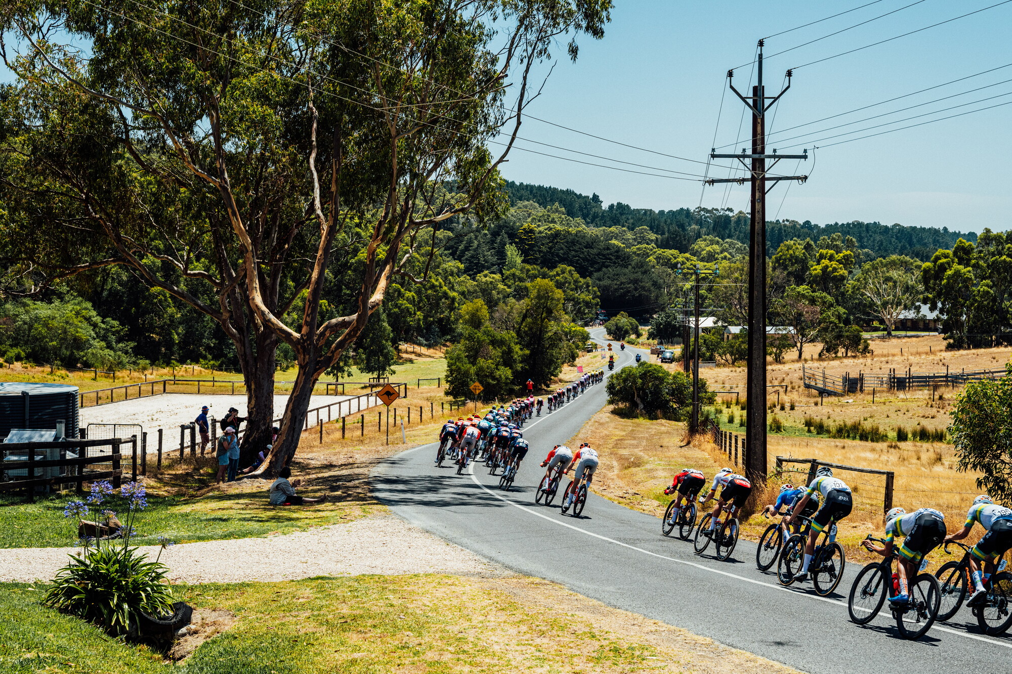 cyclingimages-TDU-2026-Mens Stage 5-836091.jpg