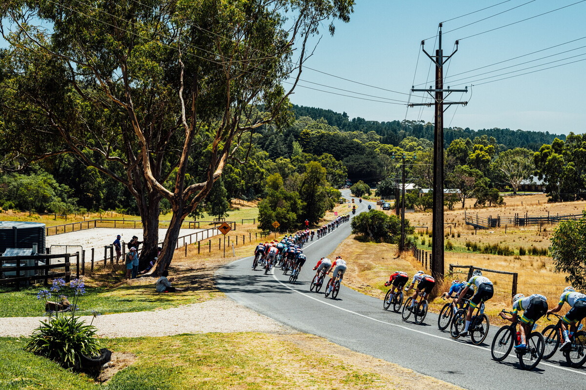 cyclingimages-TDU-2026-Mens Stage 5-836091.jpg