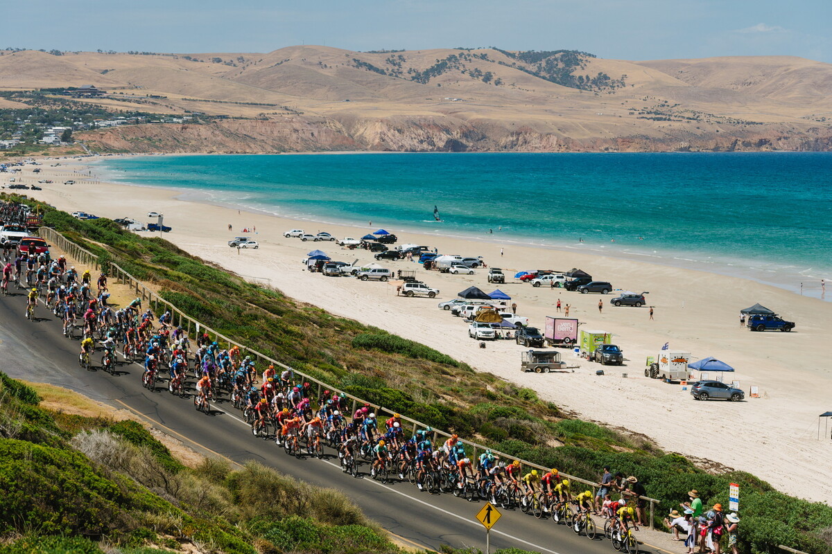 259_SAT 24th Jan 2026_Meaghan Coles_2025.jpg