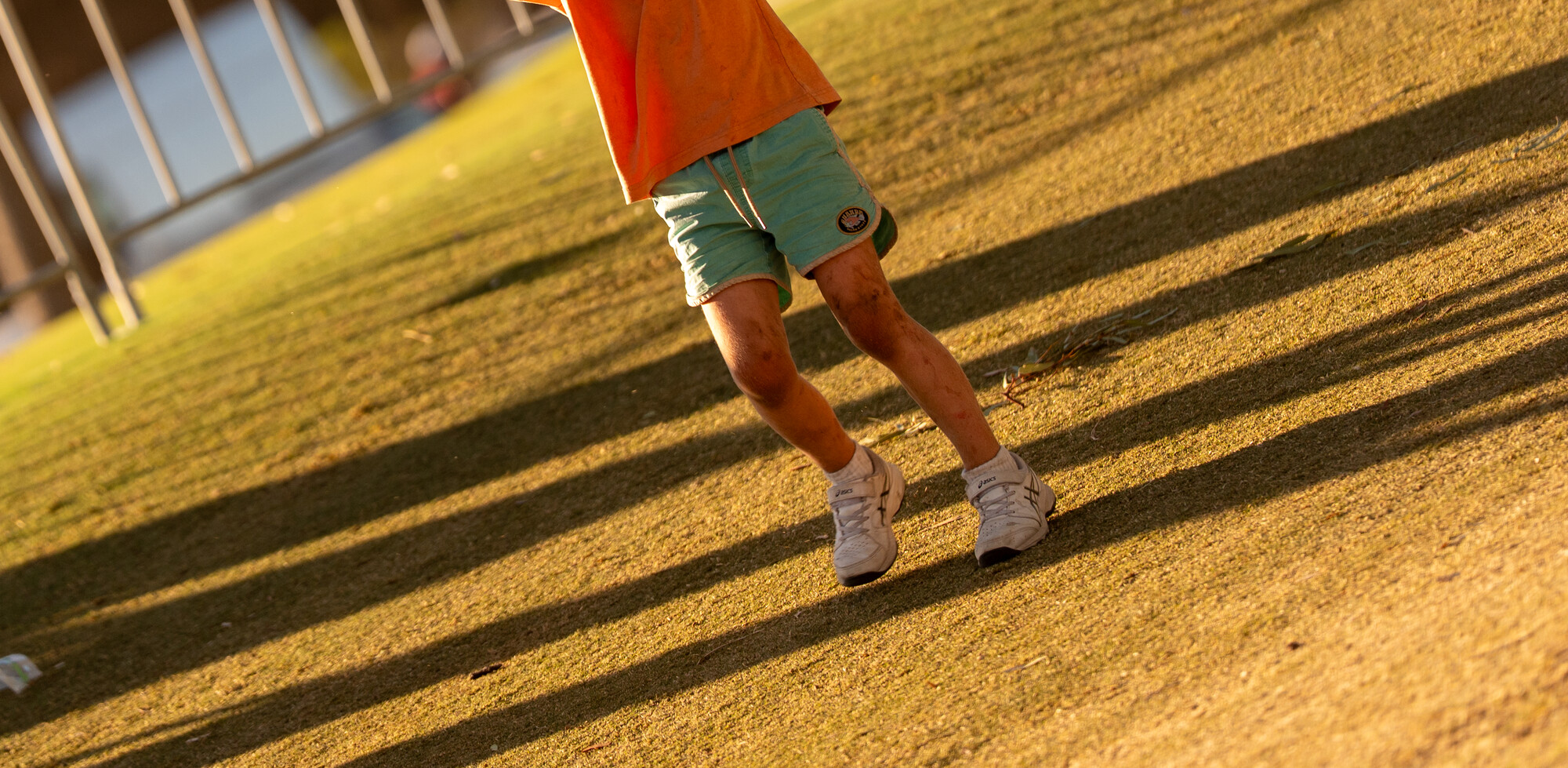 LIVGOLF_2026_TANIA149.tif