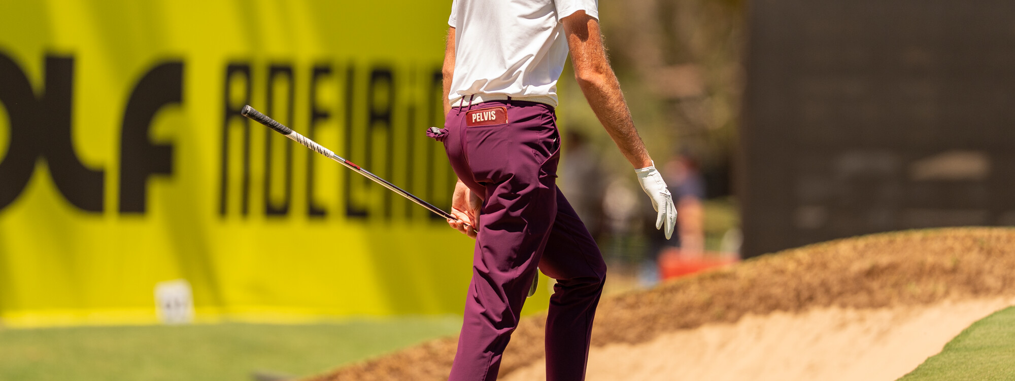 LIVGOLF_2026_TANIA202.tif