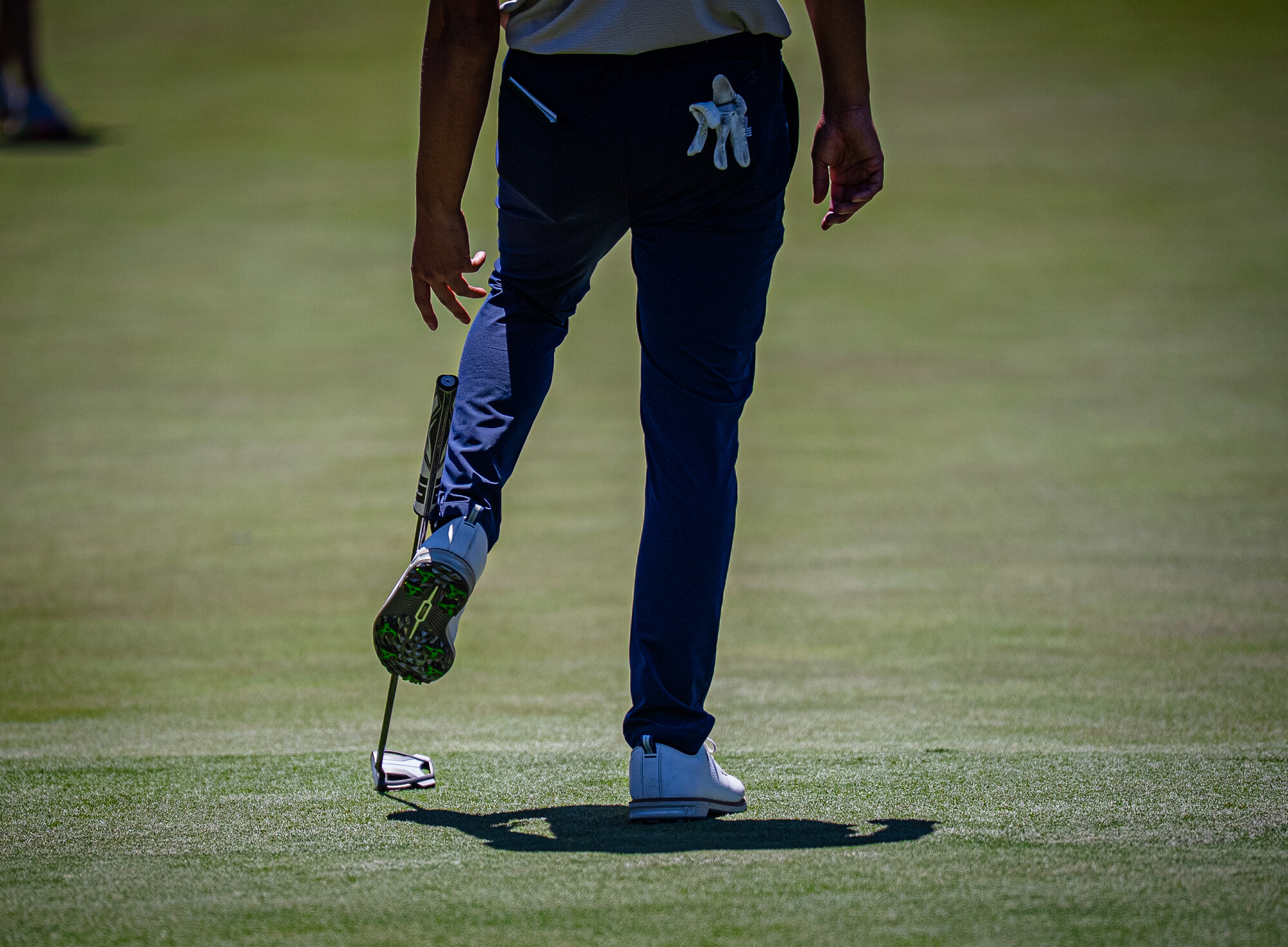 LIVGOLF_2026_TANIA42.tif