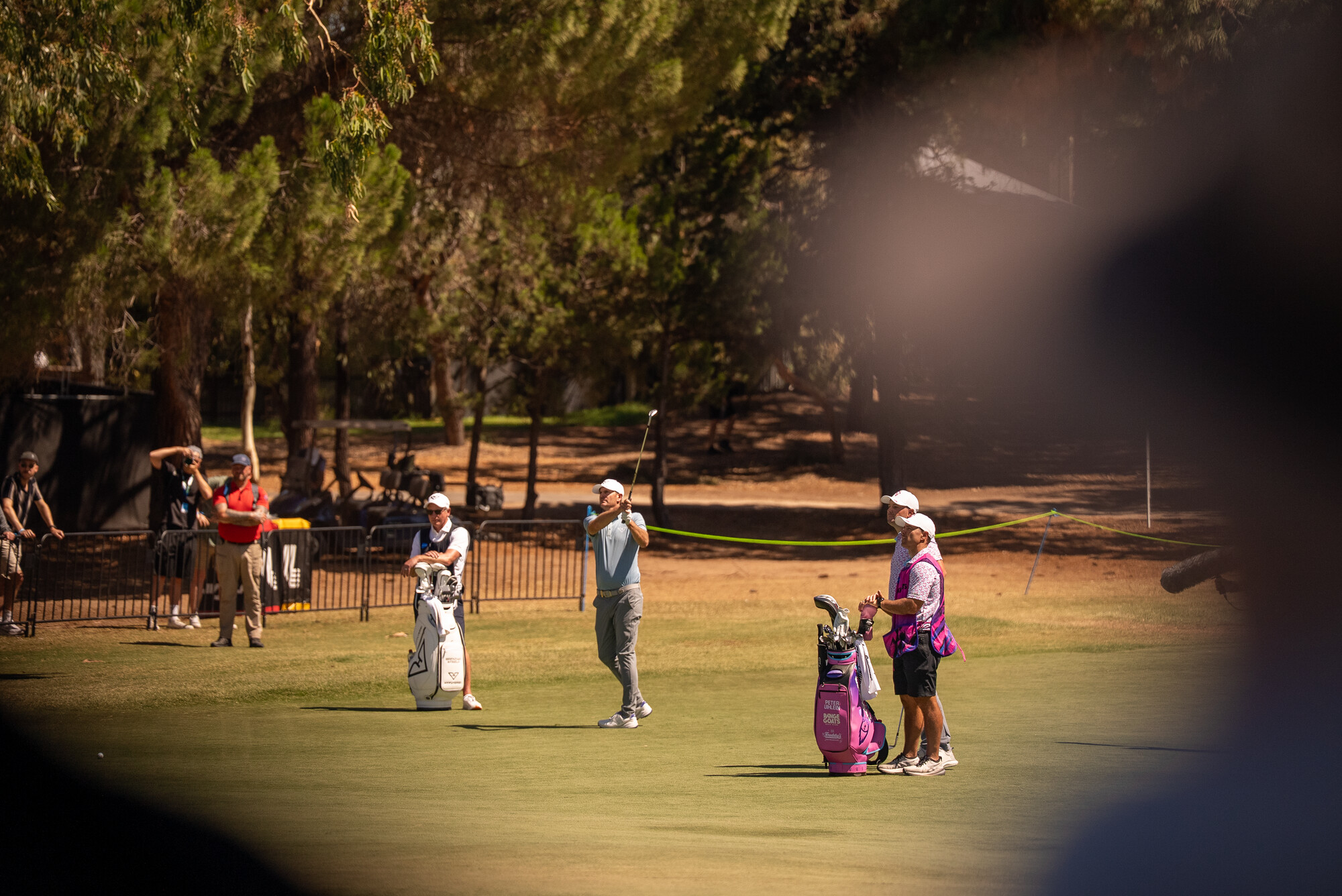 LIVGOLF_2026_TANIA86.tif