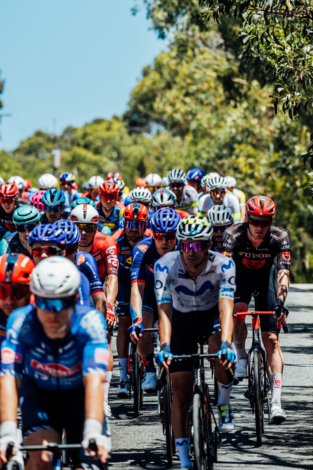 cyclingimages-TDU-2026-Mens Stage 5-826386.jpg