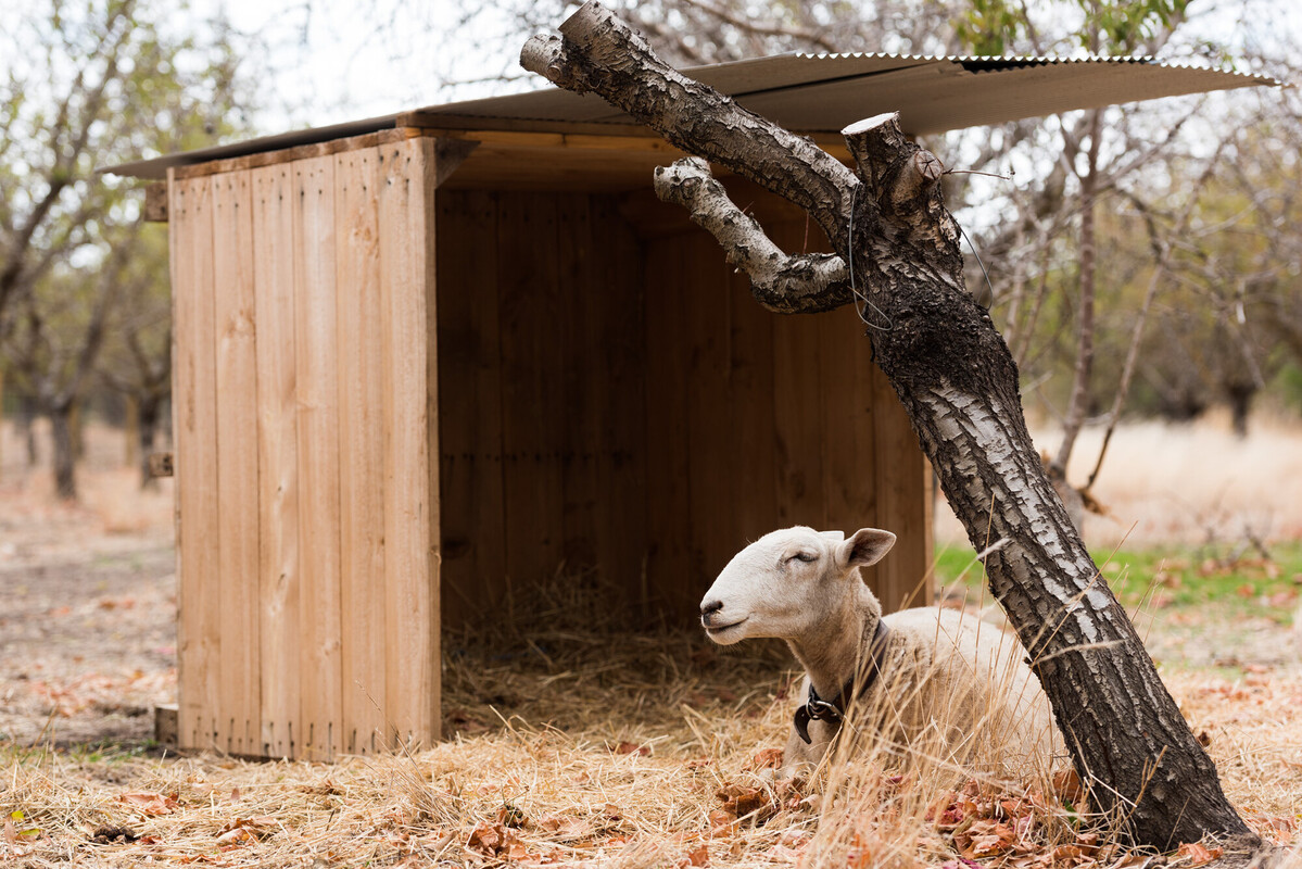 TA 20180415 01 New Moon Orchard Party - Daniel Purvis_DSC5375.jpg