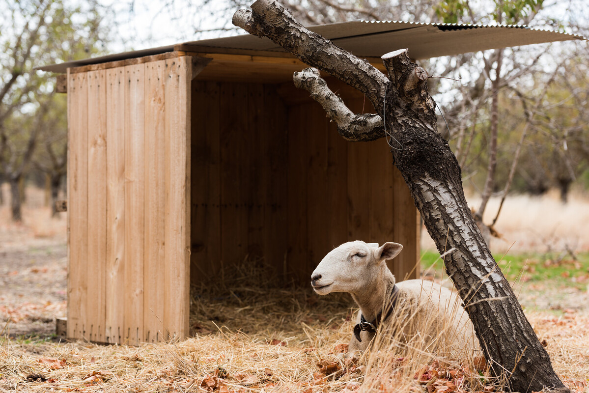 TA 20180415 01 New Moon Orchard Party - Daniel Purvis_DSC5375.jpg