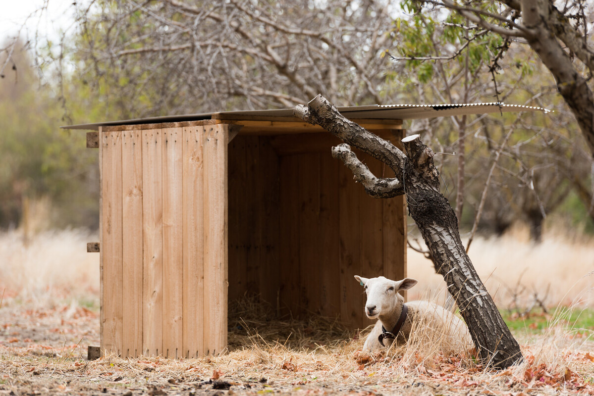 TA 20180415 01 New Moon Orchard Party - Daniel Purvis_DSC5370.jpg