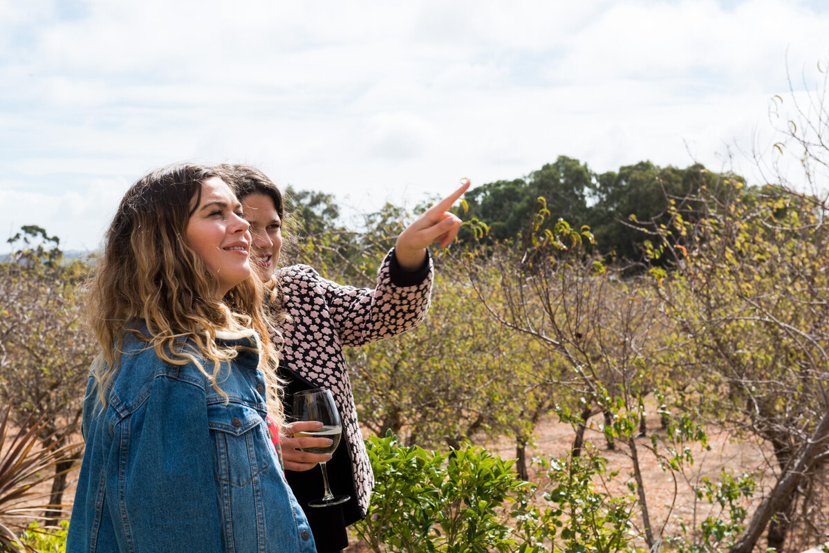 TA 20180415 01 New Moon Orchard Party - Daniel Purvis_DSC4174.jpg