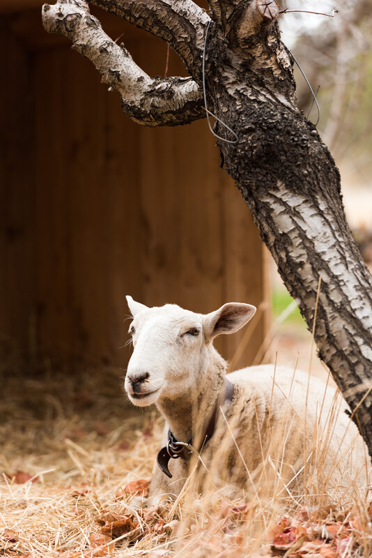 TA 20180415 01 New Moon Orchard Party - Daniel Purvis_DSC5378.jpg