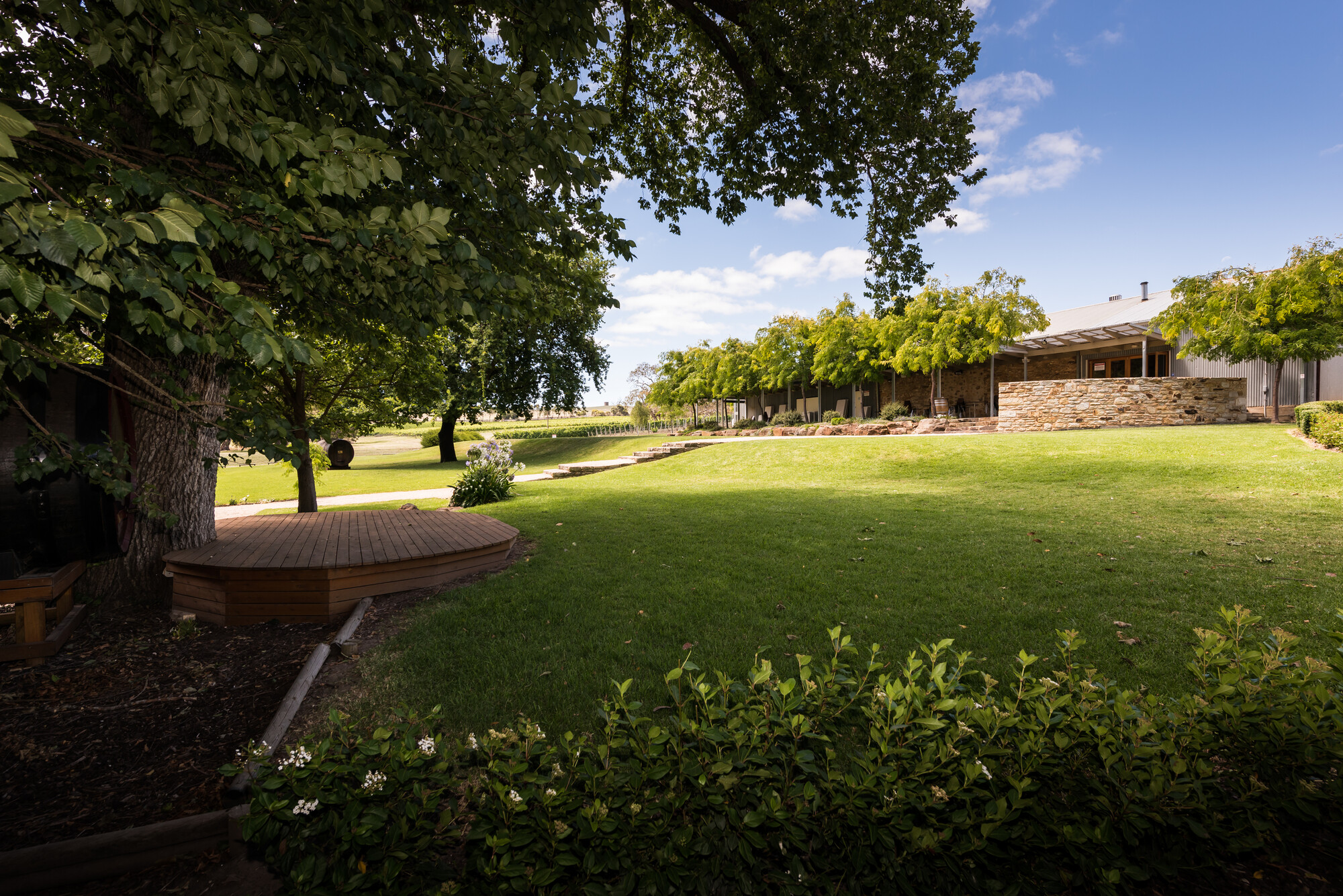 Howard Vineyard