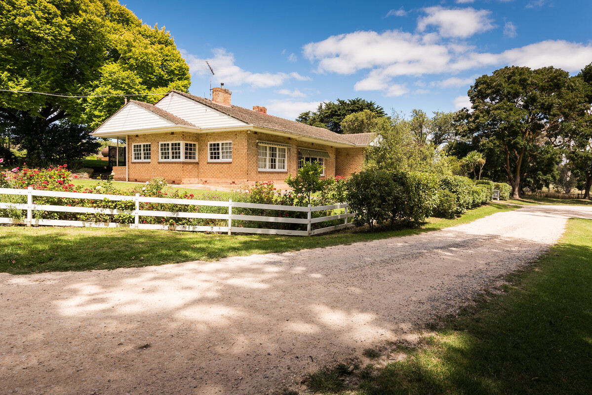 Howard Vineyard