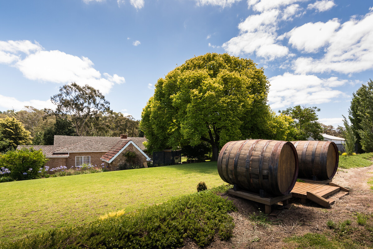 Howard Vineyard
