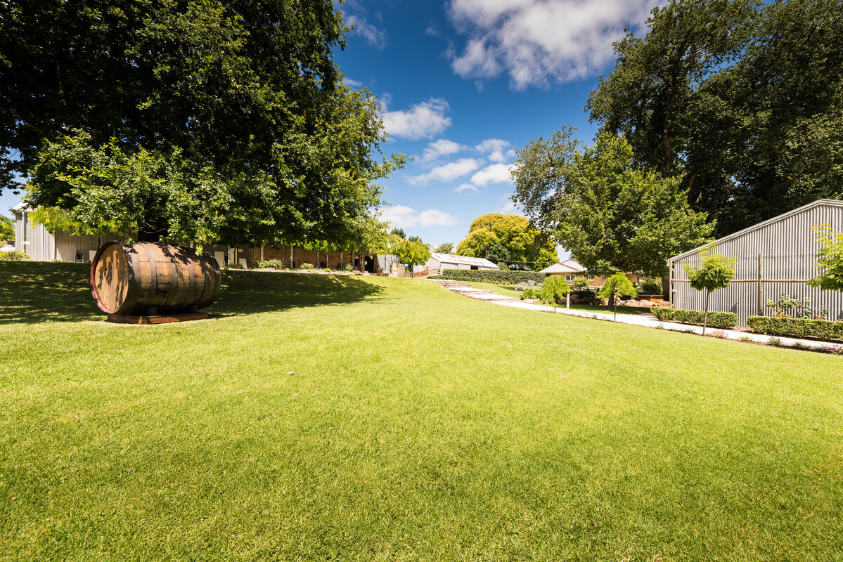 Howard Vineyard
