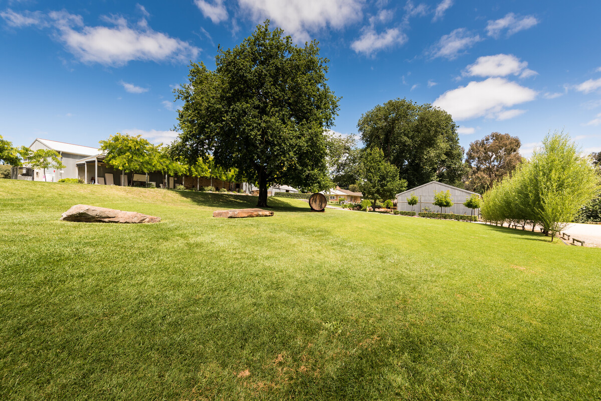 Howard Vineyard