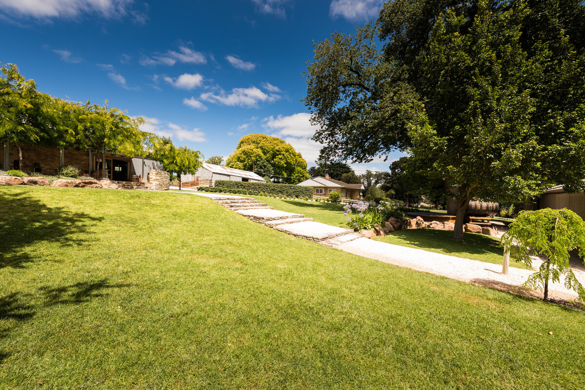 Howard Vineyard