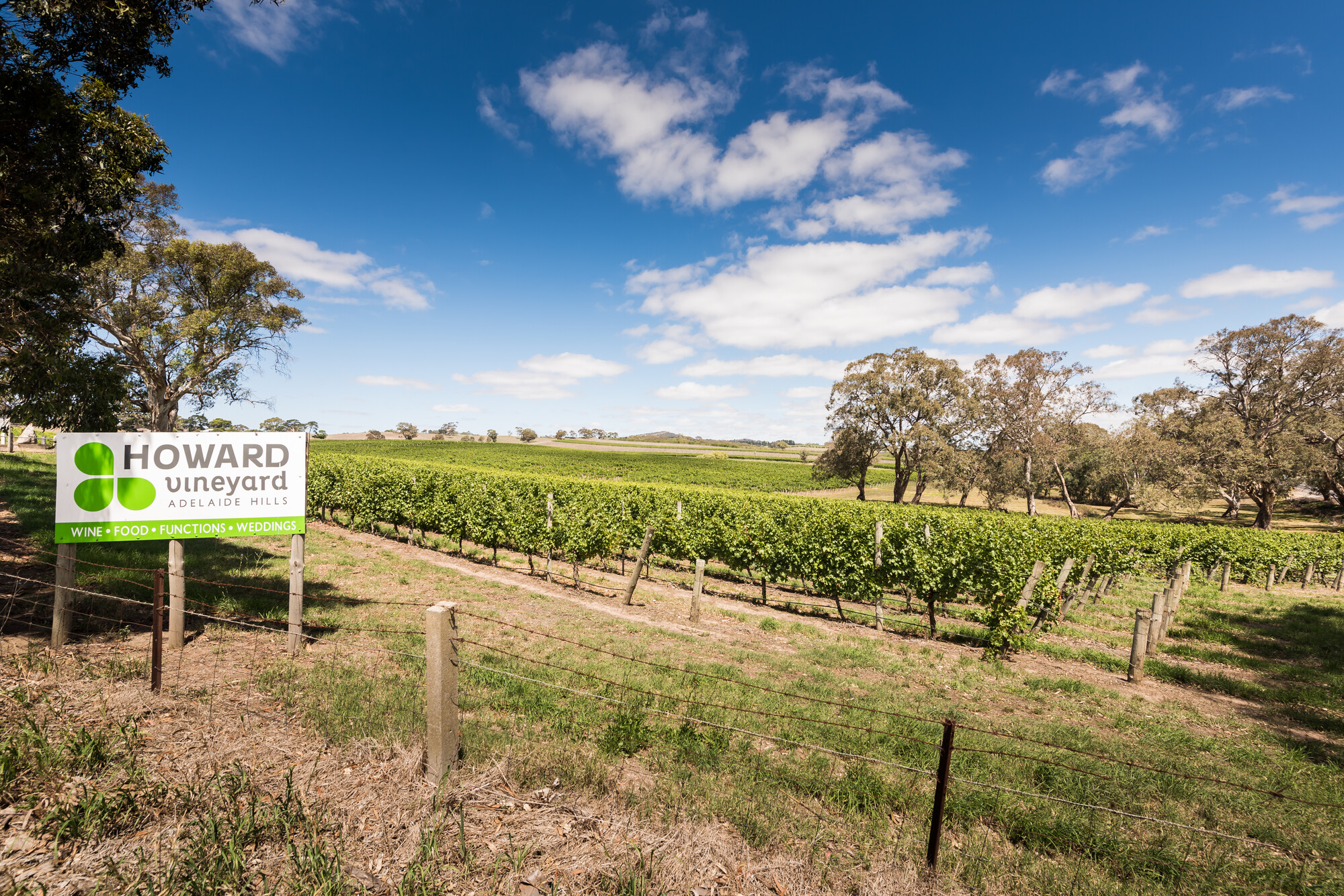 Howard Vineyard