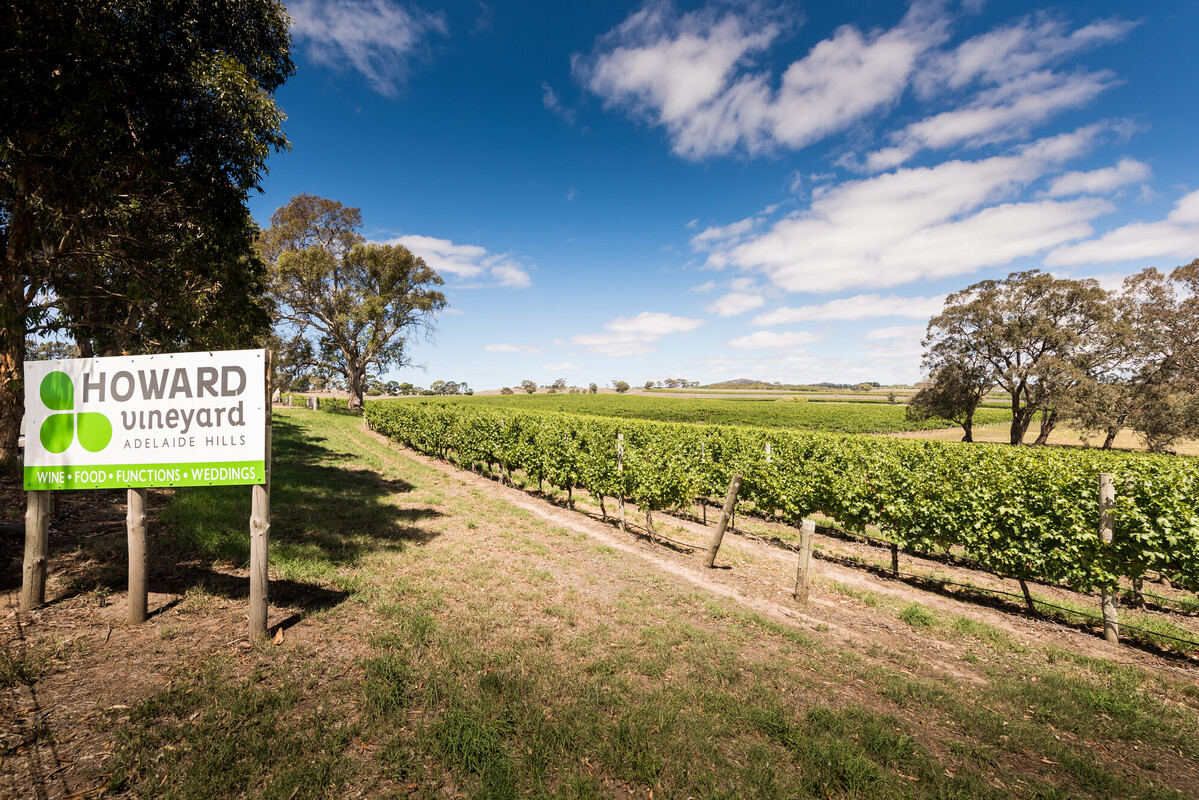 Howard Vineyard