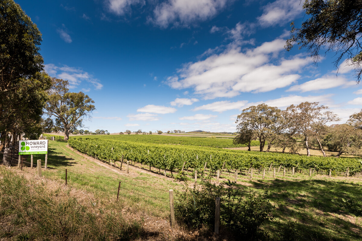 Howard Vineyard