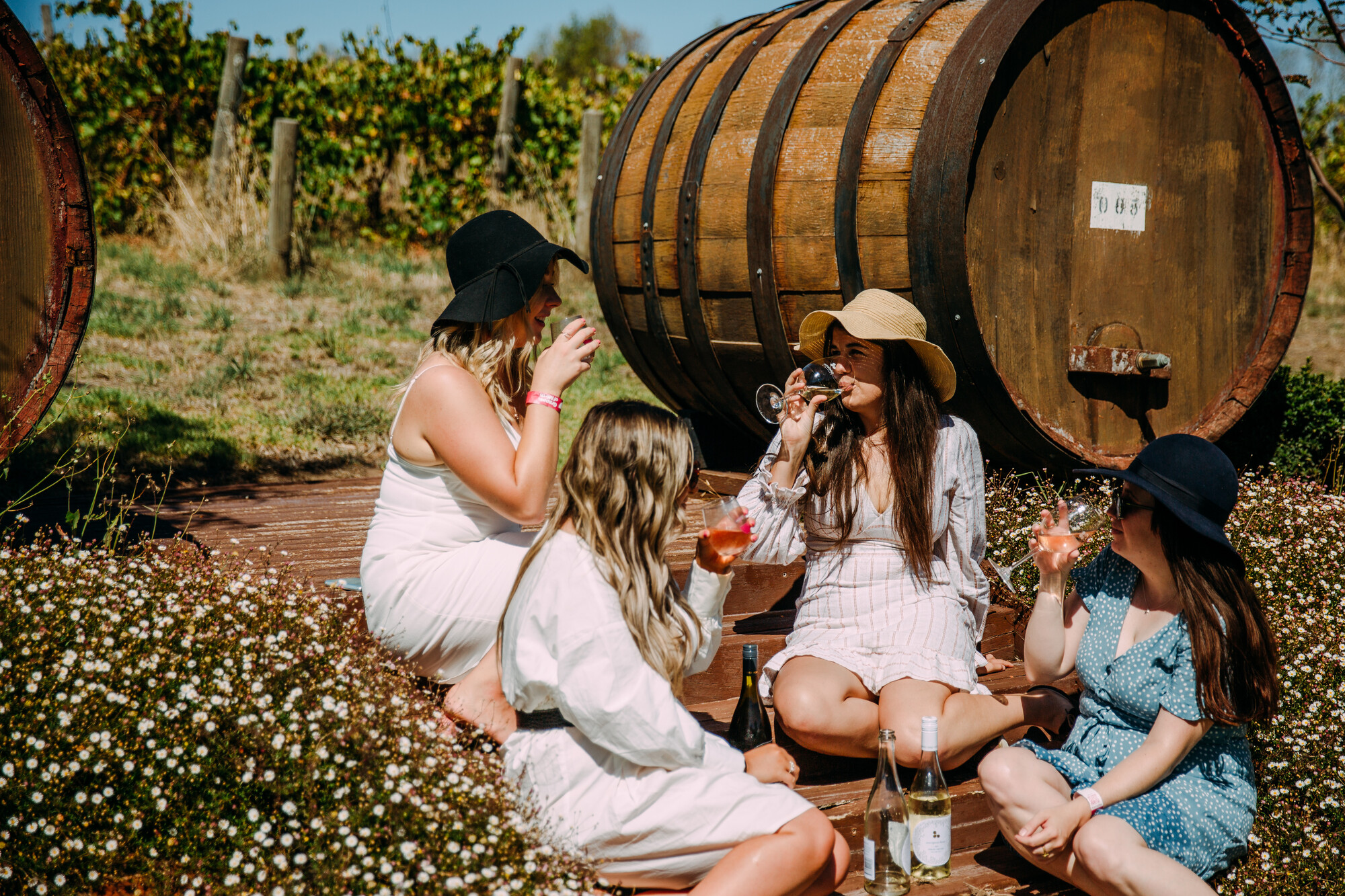 Howard Vineyard