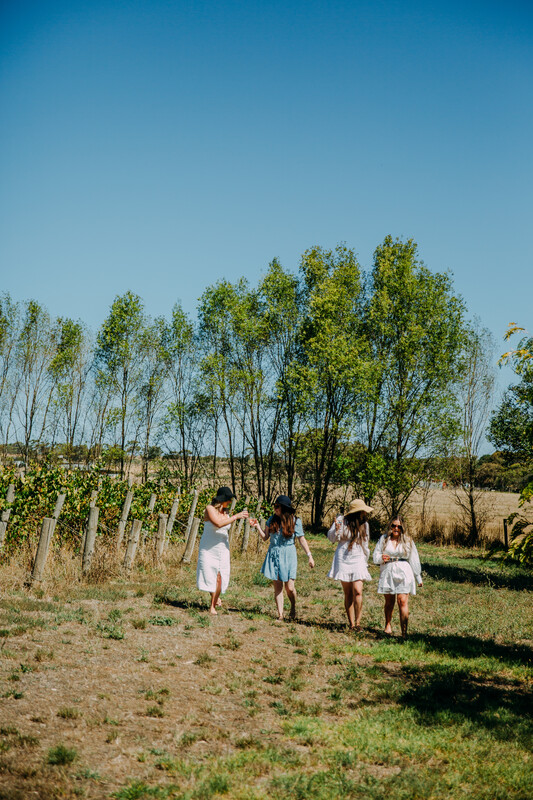Howard Vineyard