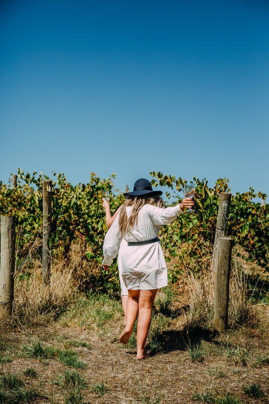 Howard Vineyard